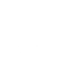 Logo Zazu